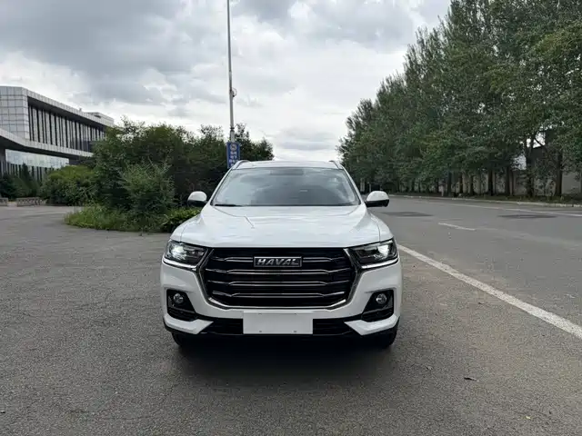 Haval H6 2021 Model National Trend Edition 1.5T Auto Champion — фото 2
