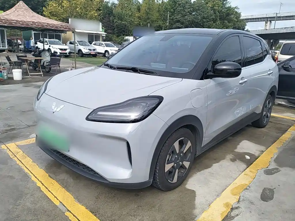 Wuling Motors Wuling Binguo PLUS 2024 2024 Model 510km Flagship Edition 4-Seater