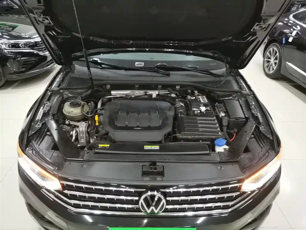 Volkswagen Magotan 2020 330TSI DSG Luxury фото 20