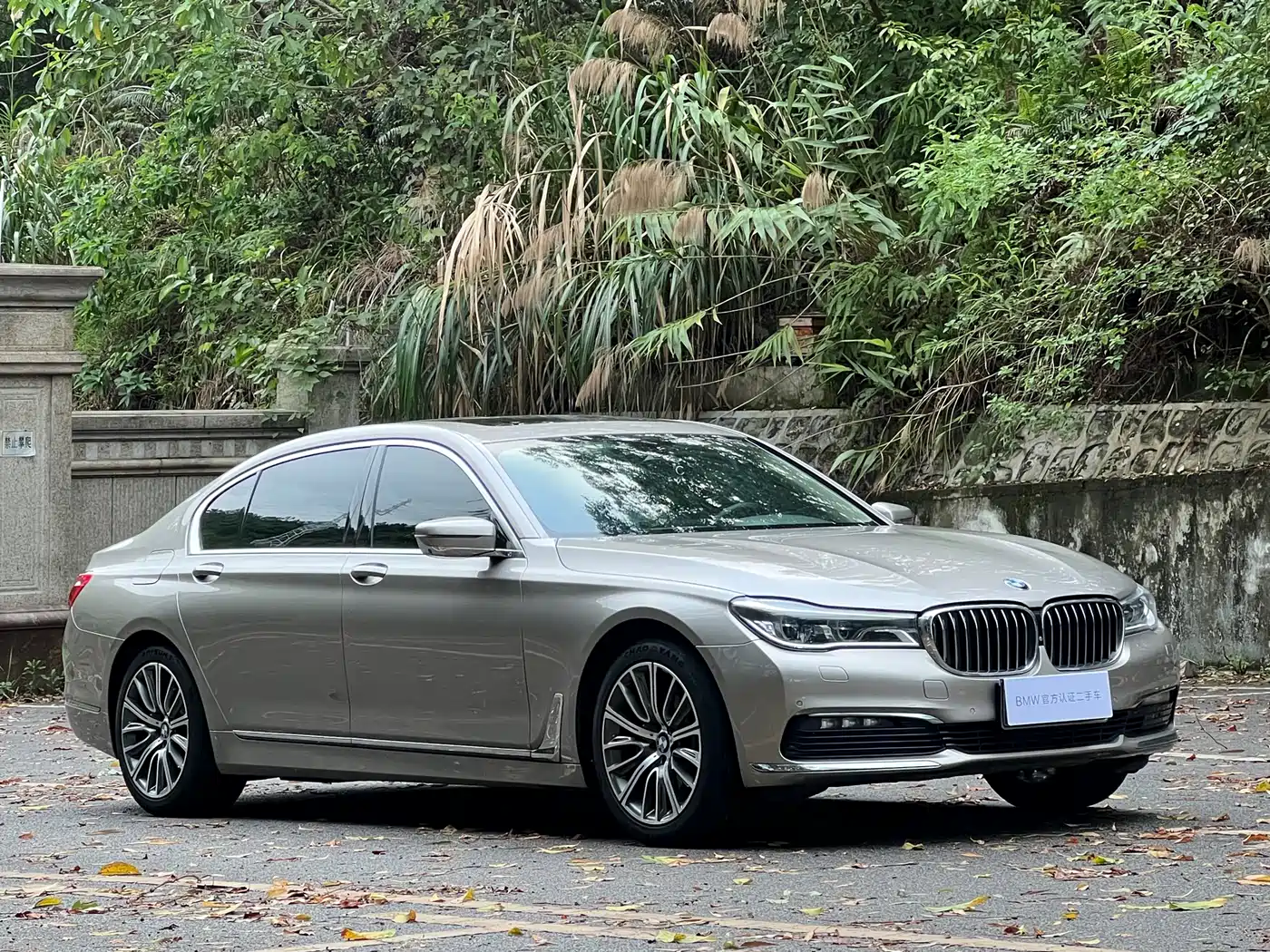 BMW 7 Series 2017 730Li Luxury Edition фото 2
