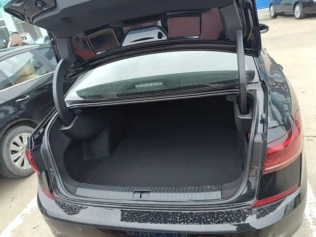صورة 19 - Volkswagen Passat