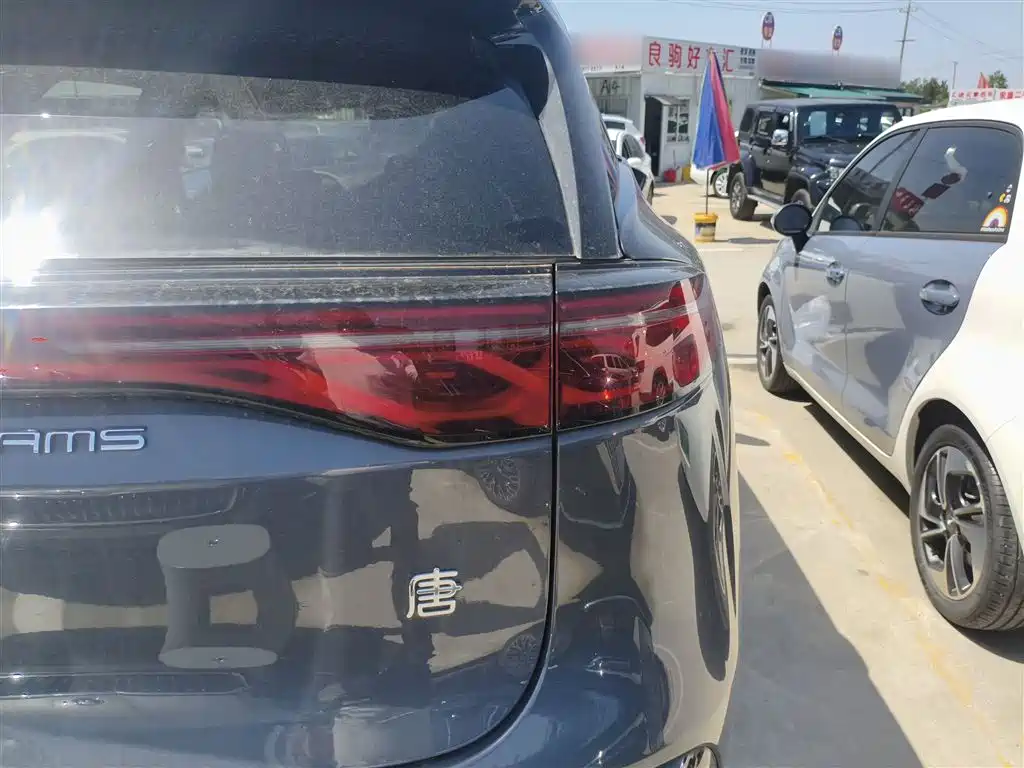 BYD Tang New Energy 2024 EV Champion Edition 730KM Premium фото 23