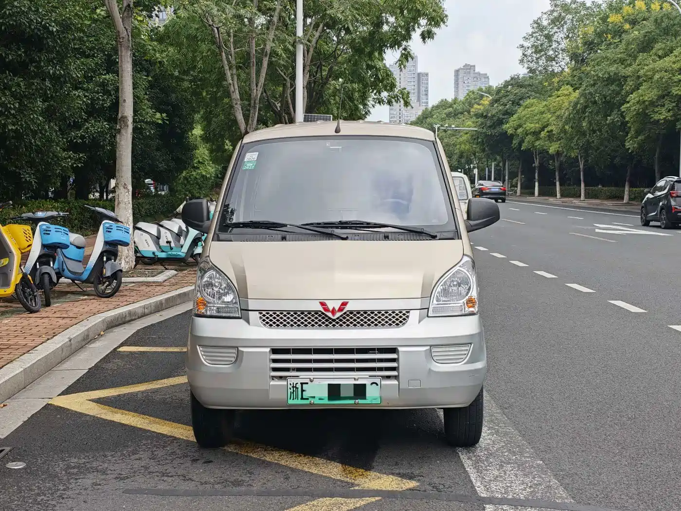Wuling Motors Wuling Rongguang EV 2024 2022 Basic Enclosed Van 2 Seats EVE Battery