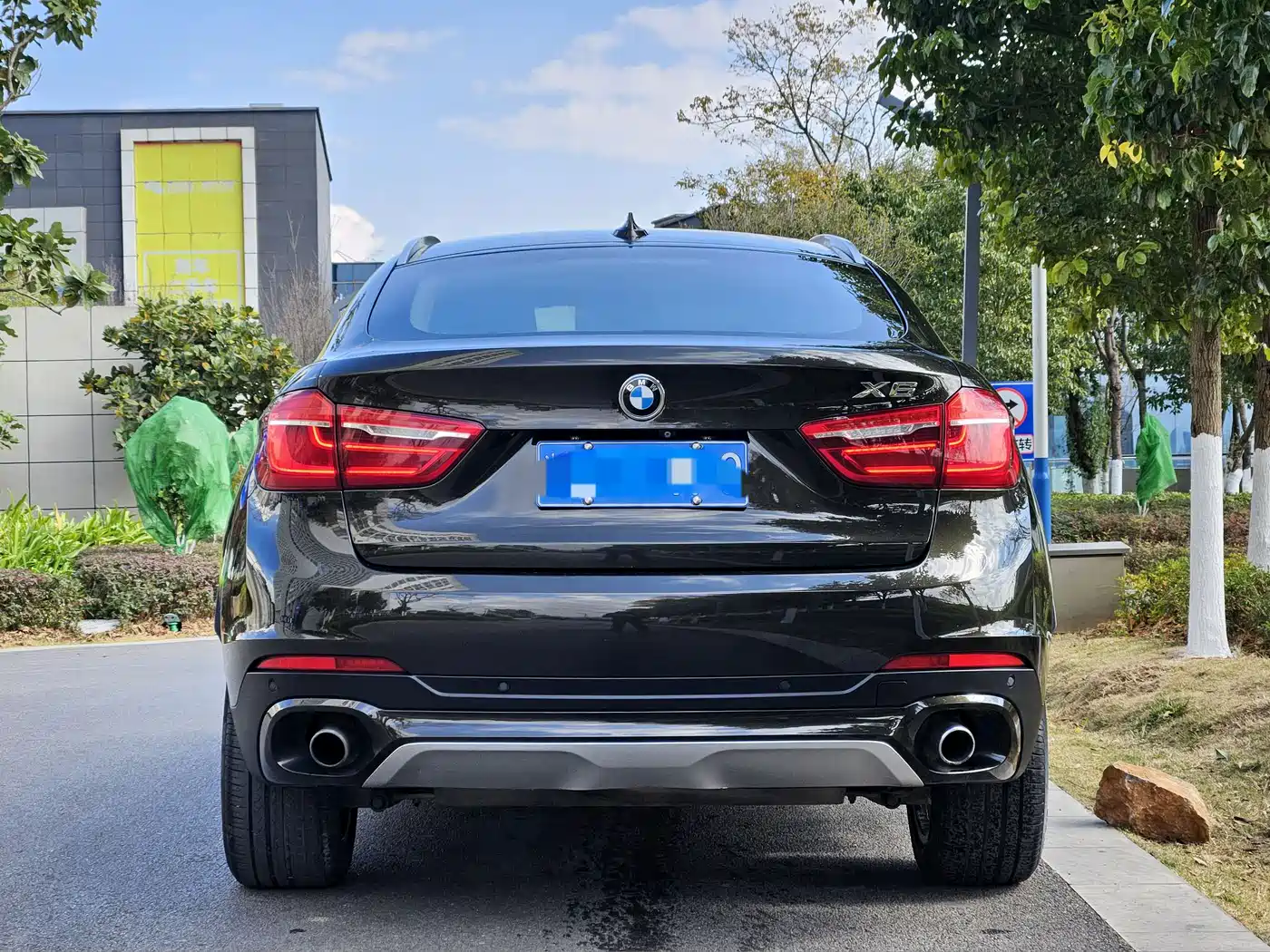 BMW X6 2015 xDrive35i Luxury Model фото 10