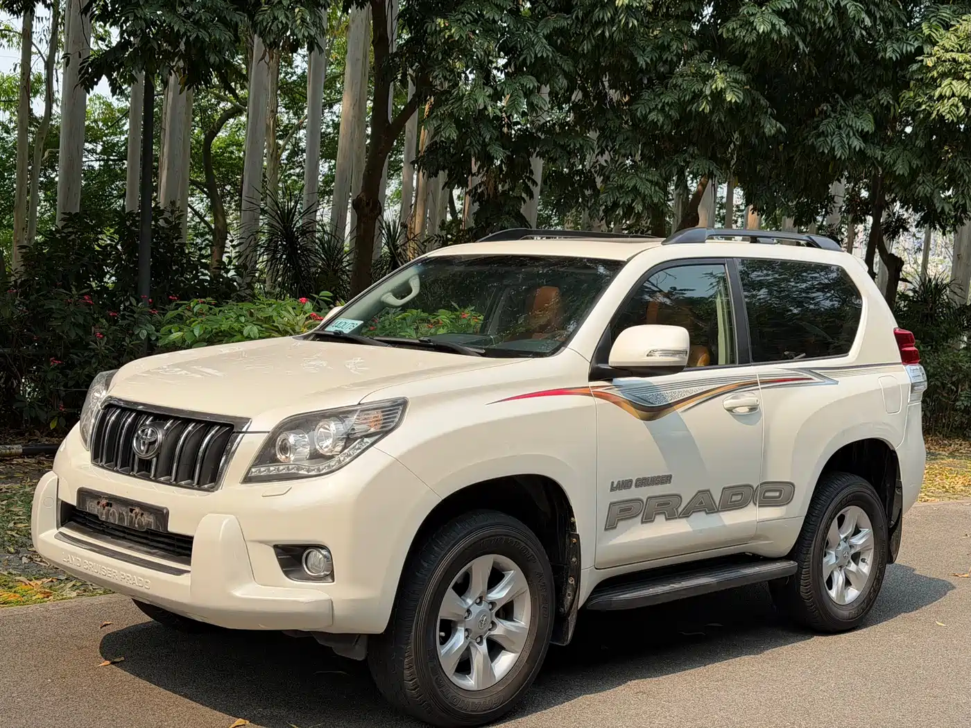 Toyota Prado (Import)