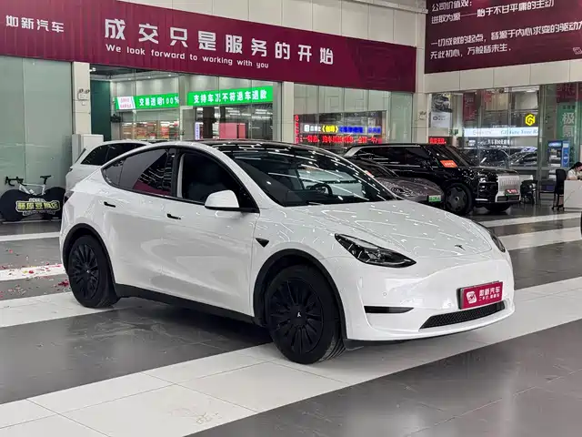 Tesla Model Y 2023 Rear-Wheel Drive Edition — фото 2