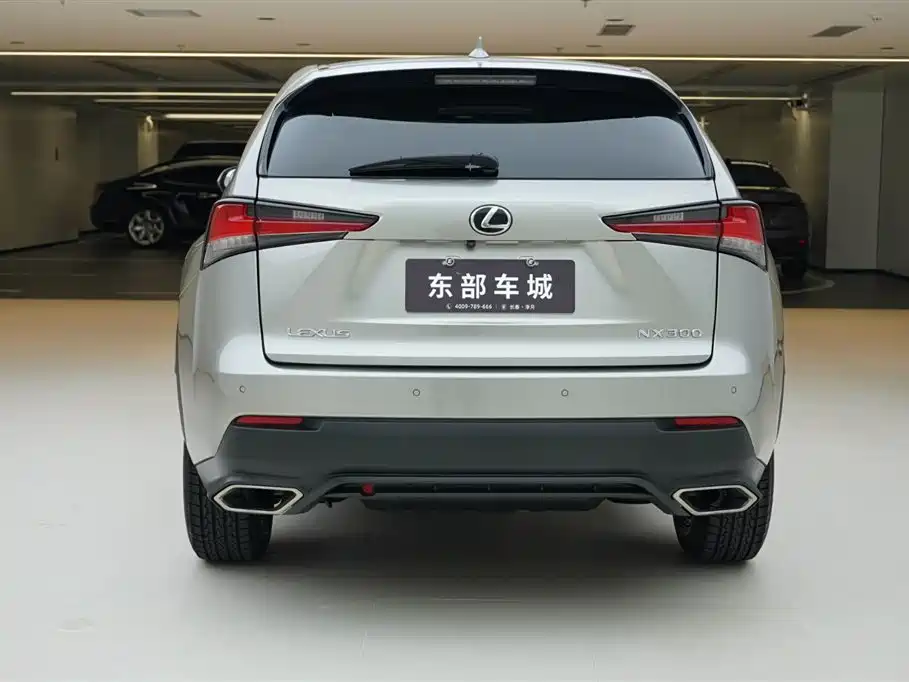 Lexus NX 2018 Model 300 FWD Fengxing Edition фото 5