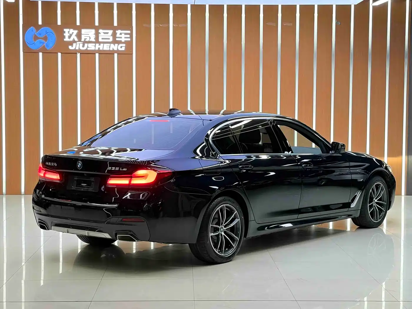 BMW 5 SERIES NEW ENERGY