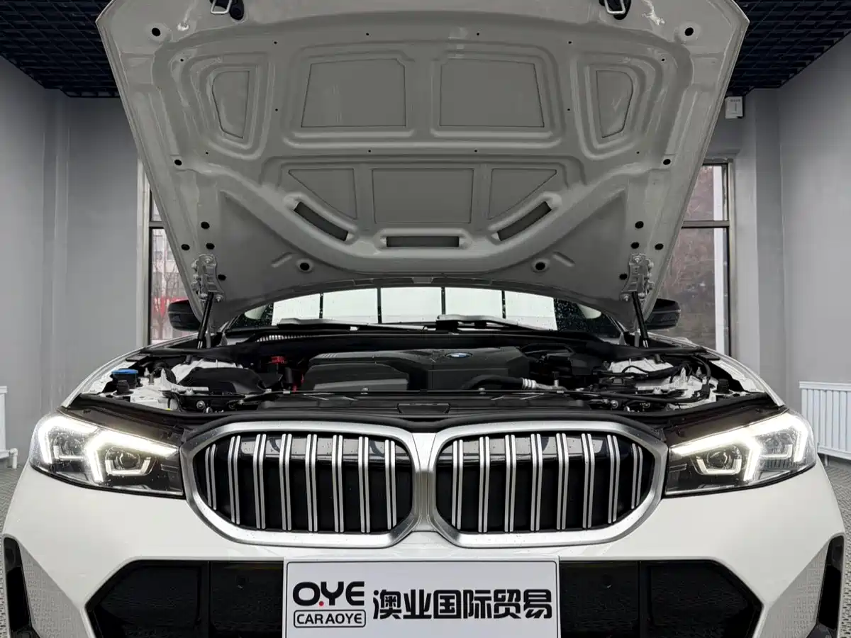 BMW 3 Series 2024 320Li M Sport Package фото 9