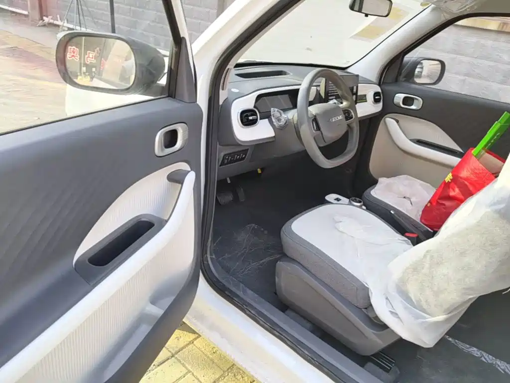 Geely Galaxy Panda 2026 2025 Panda mini 210km Vitality Bear