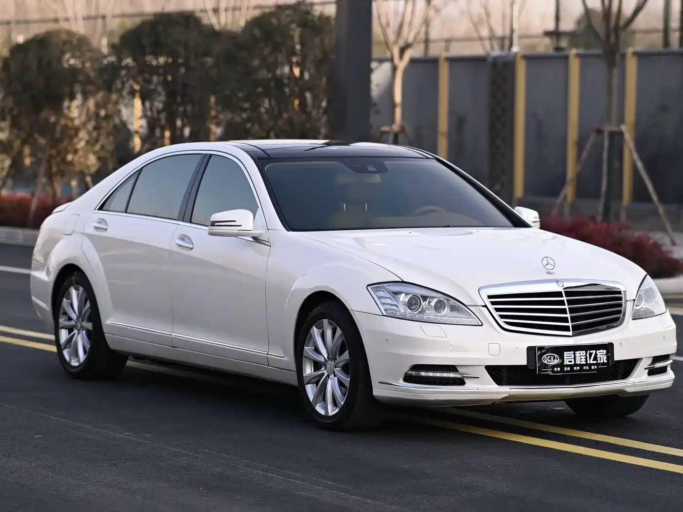 Mercedes-Benz S-Class 2010 S 300 L Luxury фото 3