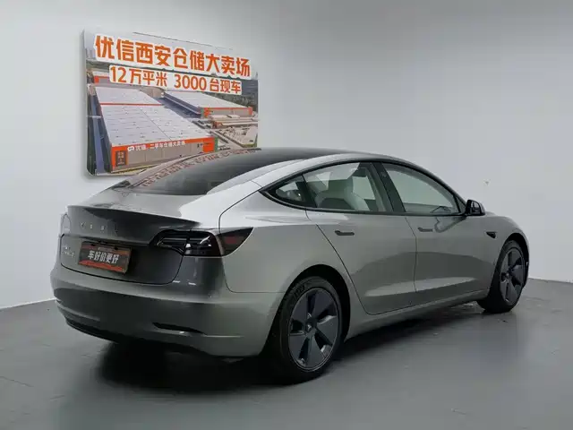 Tesla Model 3 2021 Standard Range Rear-Wheel Drive Upgrade 3D6 — фото 2