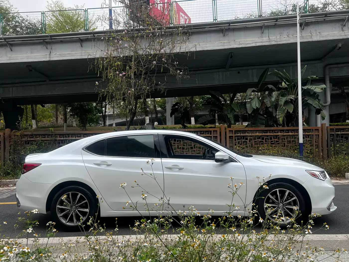 Acura TLX-L 2018 2.4L Joy Edition фото 11