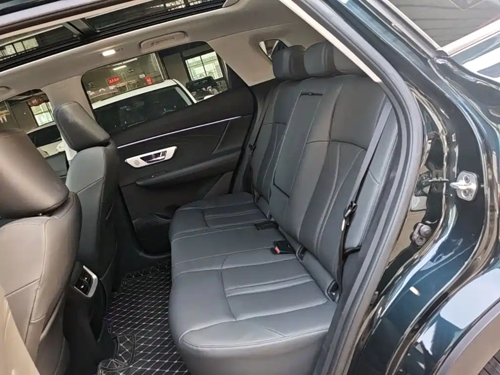 Dongfeng Aeolus Haoji 2024 2024 Mach Power 1.5T Premium
