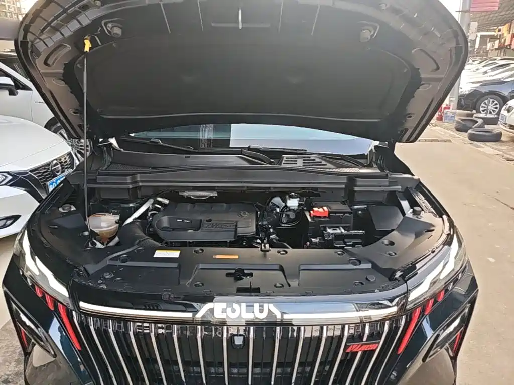 Dongfeng Aeolus Haoji 2024 2024 Mach Power 1.5T Premium