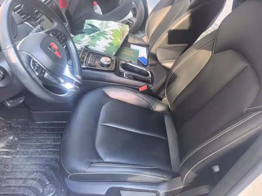 Roewe Ei5 2019 2018 Internet Luxury Edition
