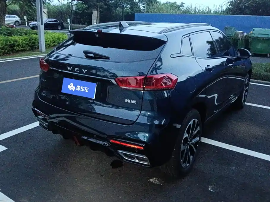 WEY VV7 2019 2020 2.0T Super Luxury