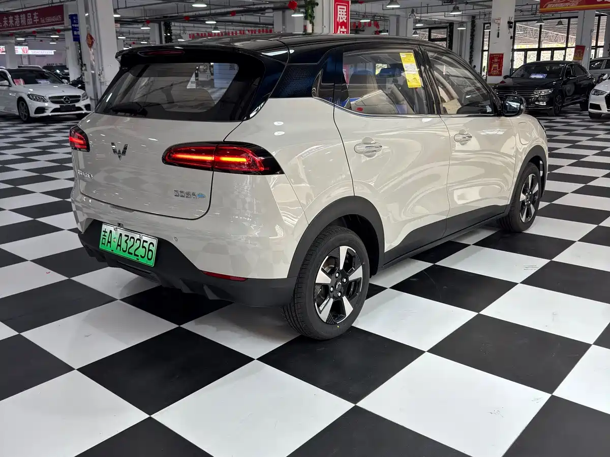 Wuling Motors Wuling Binguo PLUS 2026 2024 Model 330km 5-Seater