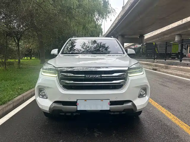 Haval H9 2020 2.0T Gasoline 4WD Premium 5-Seater — фото 2