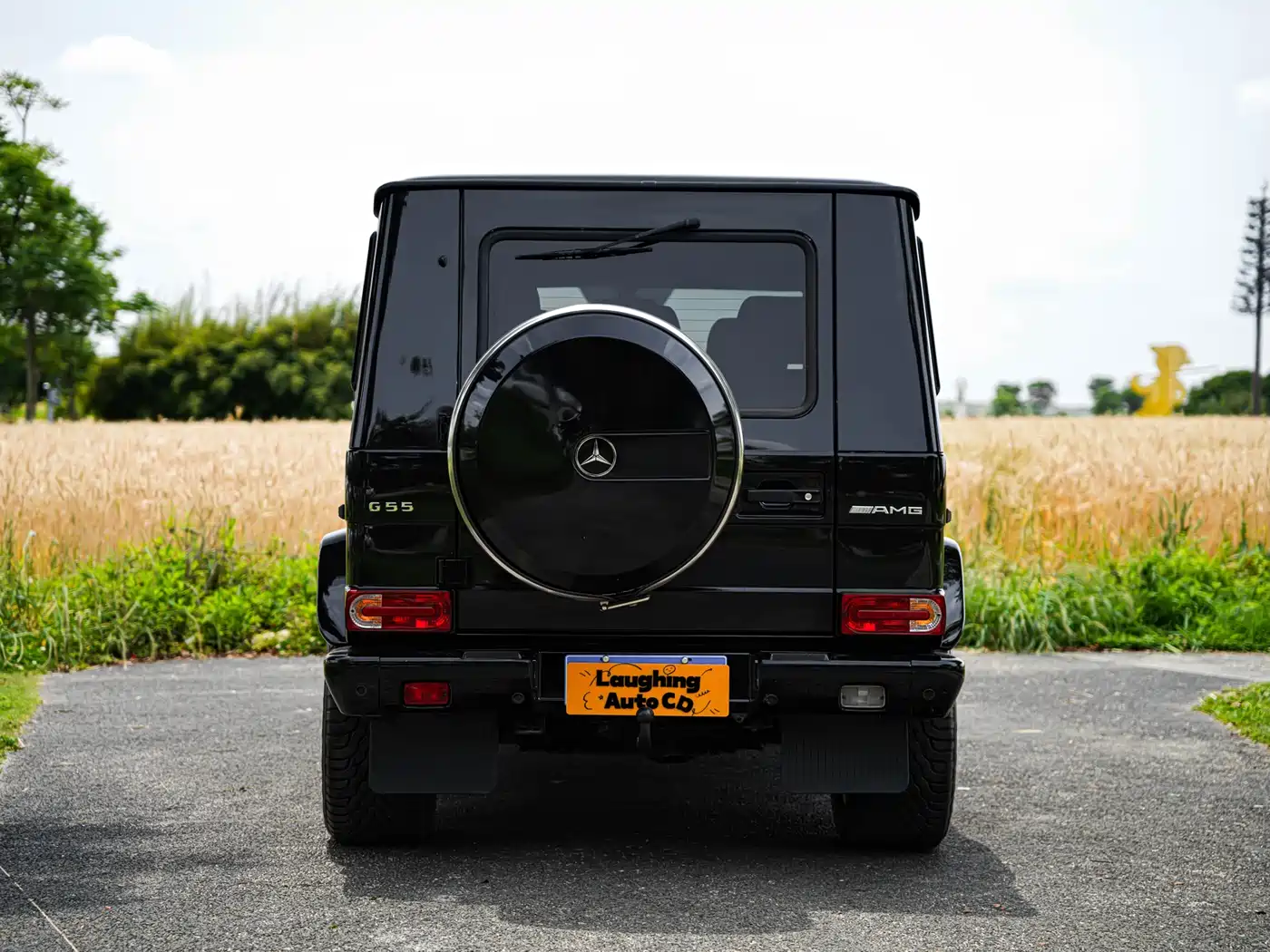 Mercedes-Benz G-Class AMG 2009 AMG G 55 фото 9