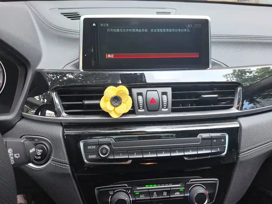 BMW X2 (Import) 2019 2019 sDrive20i M Off-Road Package China VI
