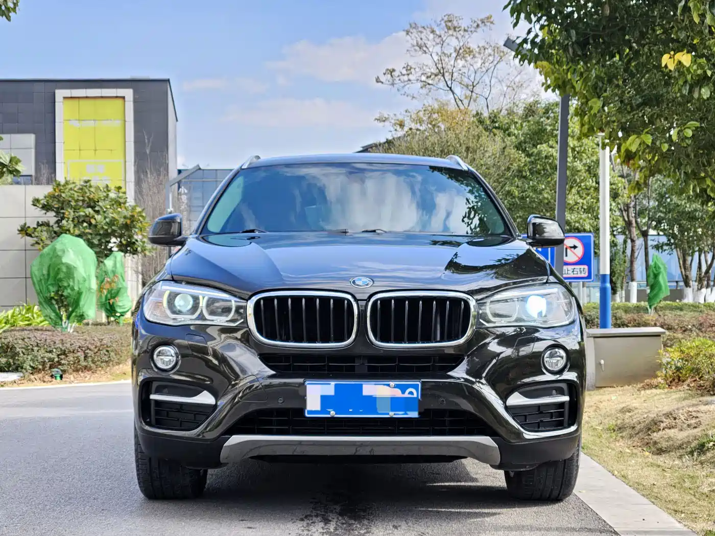 BMW X6 2015 xDrive35i Luxury Model фото 2