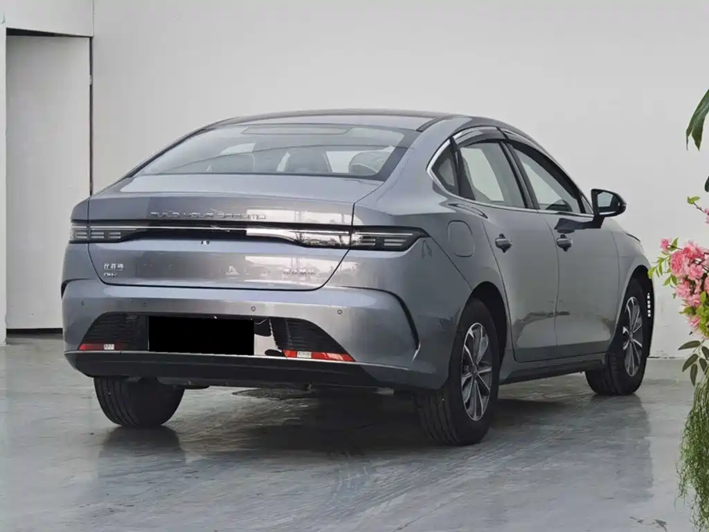 BYD Destroyer 05 2025 2024 Glory Edition DM-i 55KM Luxury