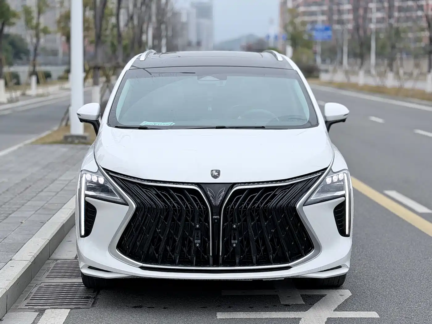 DONGFENG POPULAR YACHTS