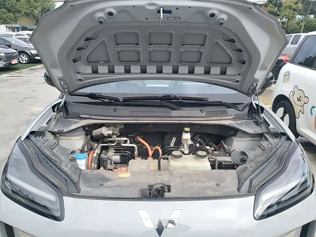 Wuling Motors Wuling Binguo PLUS 2024 2024 Model 510km Flagship Edition 4-Seater