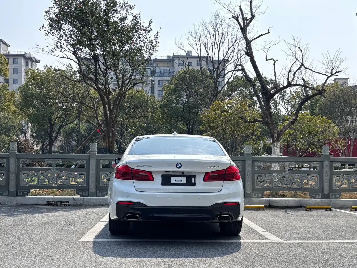 BMW 5 Series 2020 530Li Exclusive M Sport Package фото 5