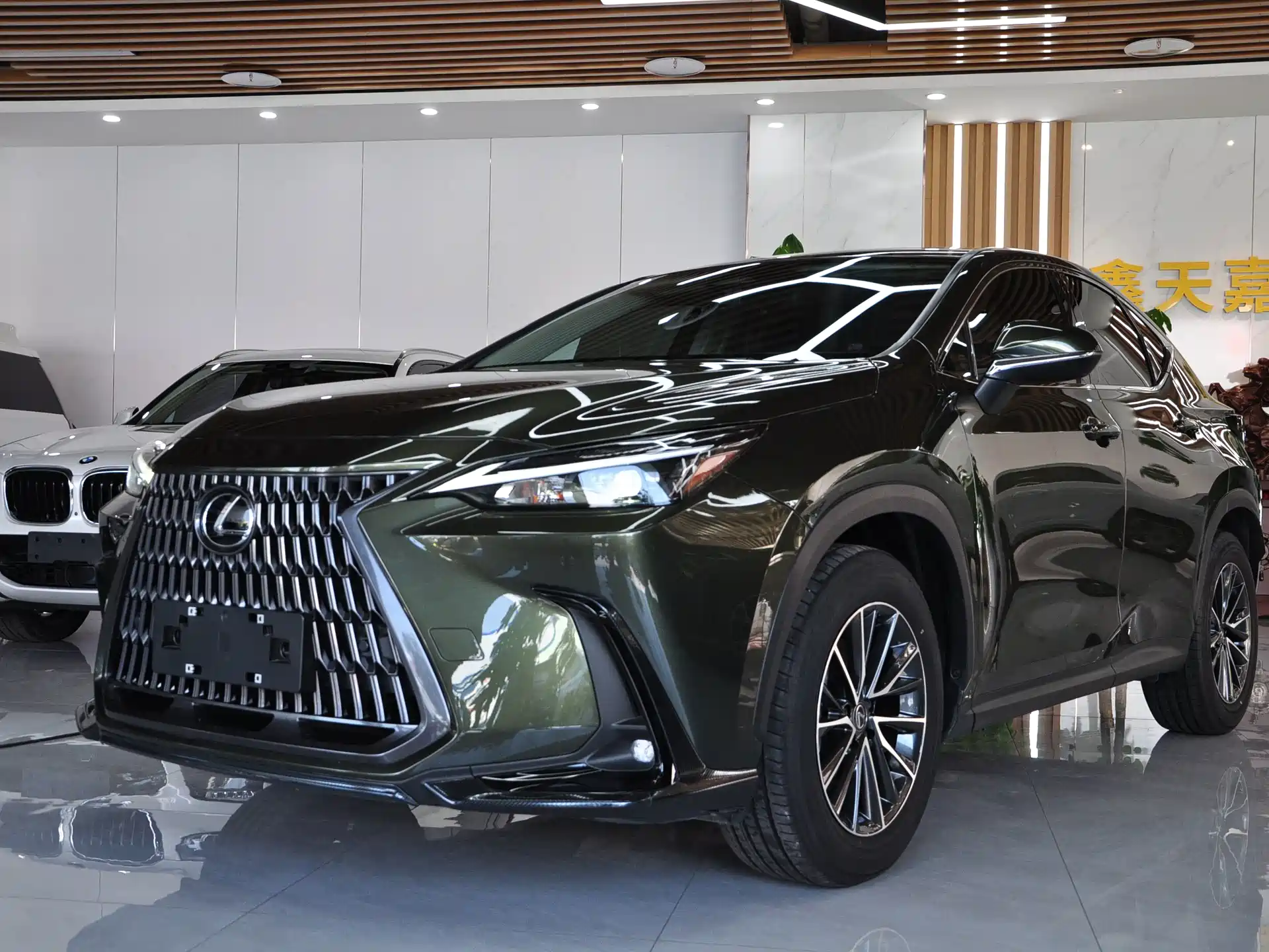 Фото 1 - Lexus NX