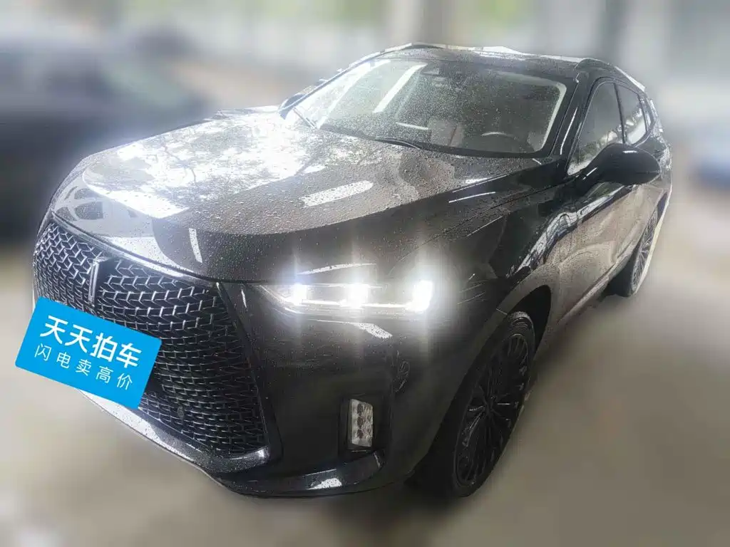 WEY P8 2018 2018 2.0T Flagship Model