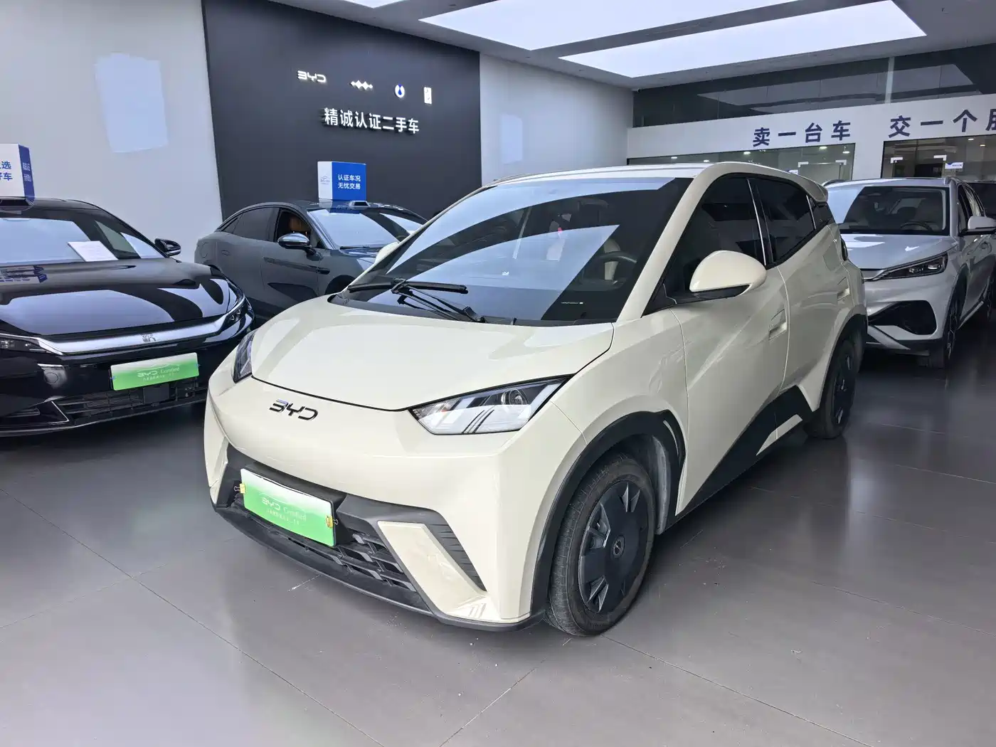 BYD Seagull 2024