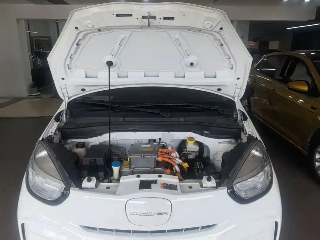 Roewe Kaiwei CLEVER 2023 2022 311km Vitality Bobo Edition