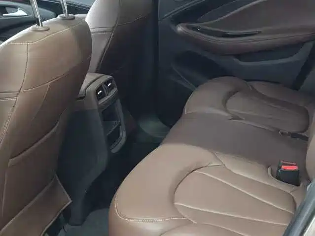 Buick Envision Plus 2018 20T 2WD Luxury фото 6