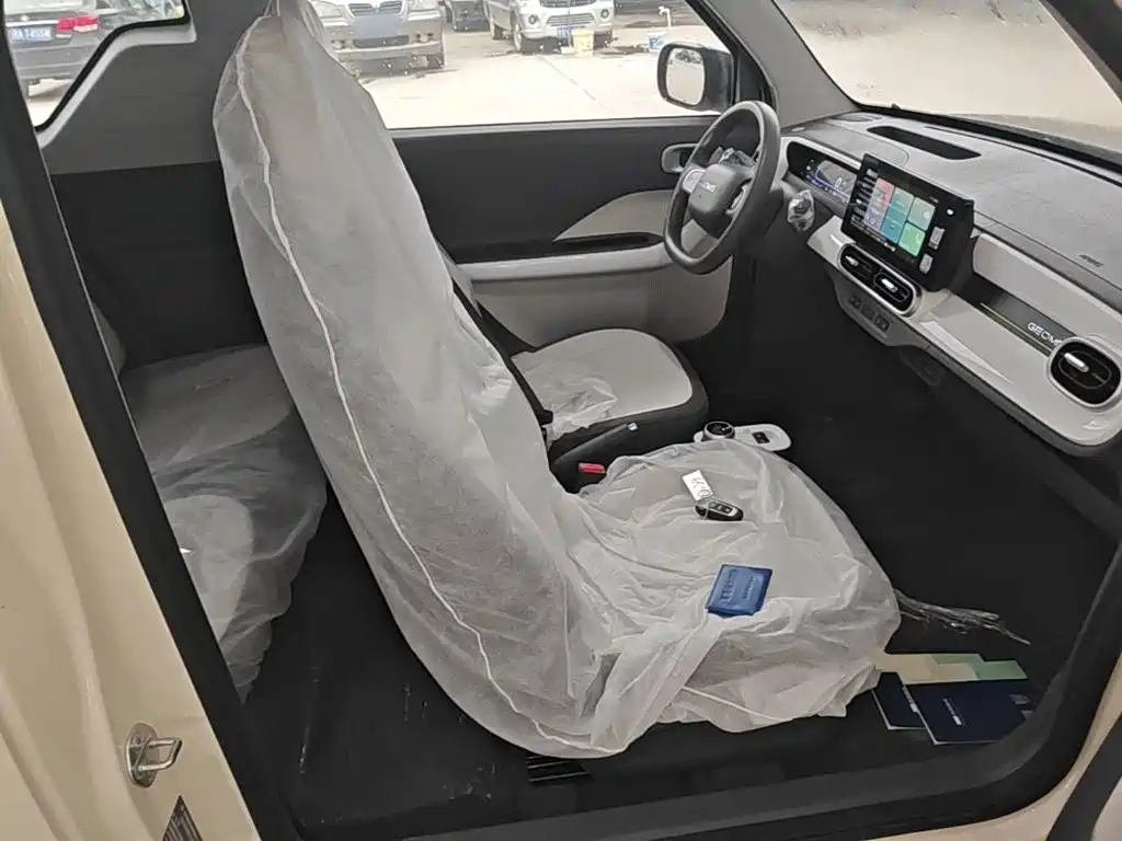 Geely Galaxy Panda 2026 2025 Panda mini 210km Vitality Bear