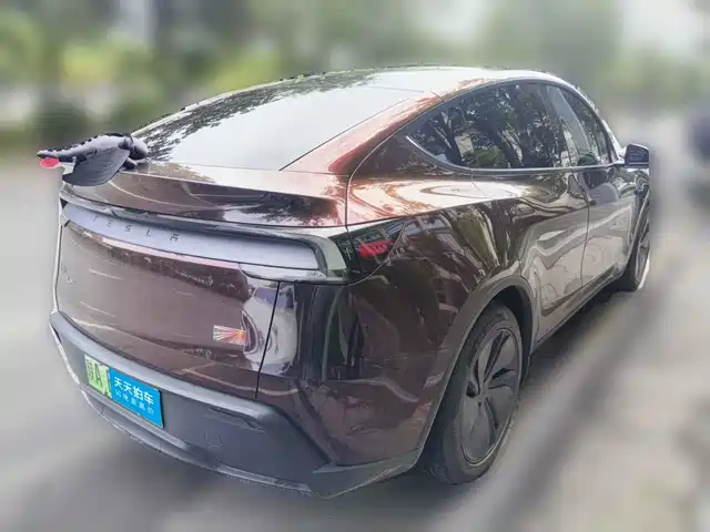 Tesla Model Y 2025 Model Long Range All-Wheel Drive Launch Edition — фото 2