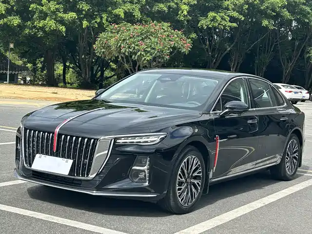 Hongqi H5 2024 2.0T Automatic Smart Connect Flag Smooth Edition — фото 1