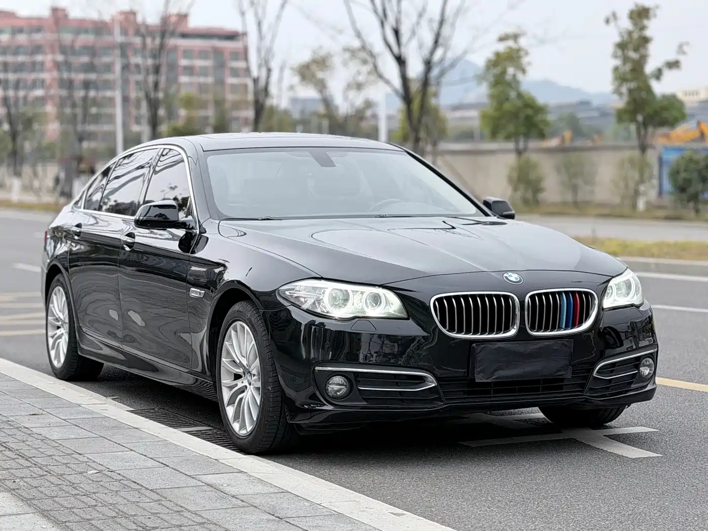 BMW 5 Series 2017 525Li Luxury Design Package фото 3