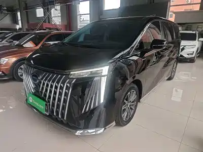 Trumpchi M8