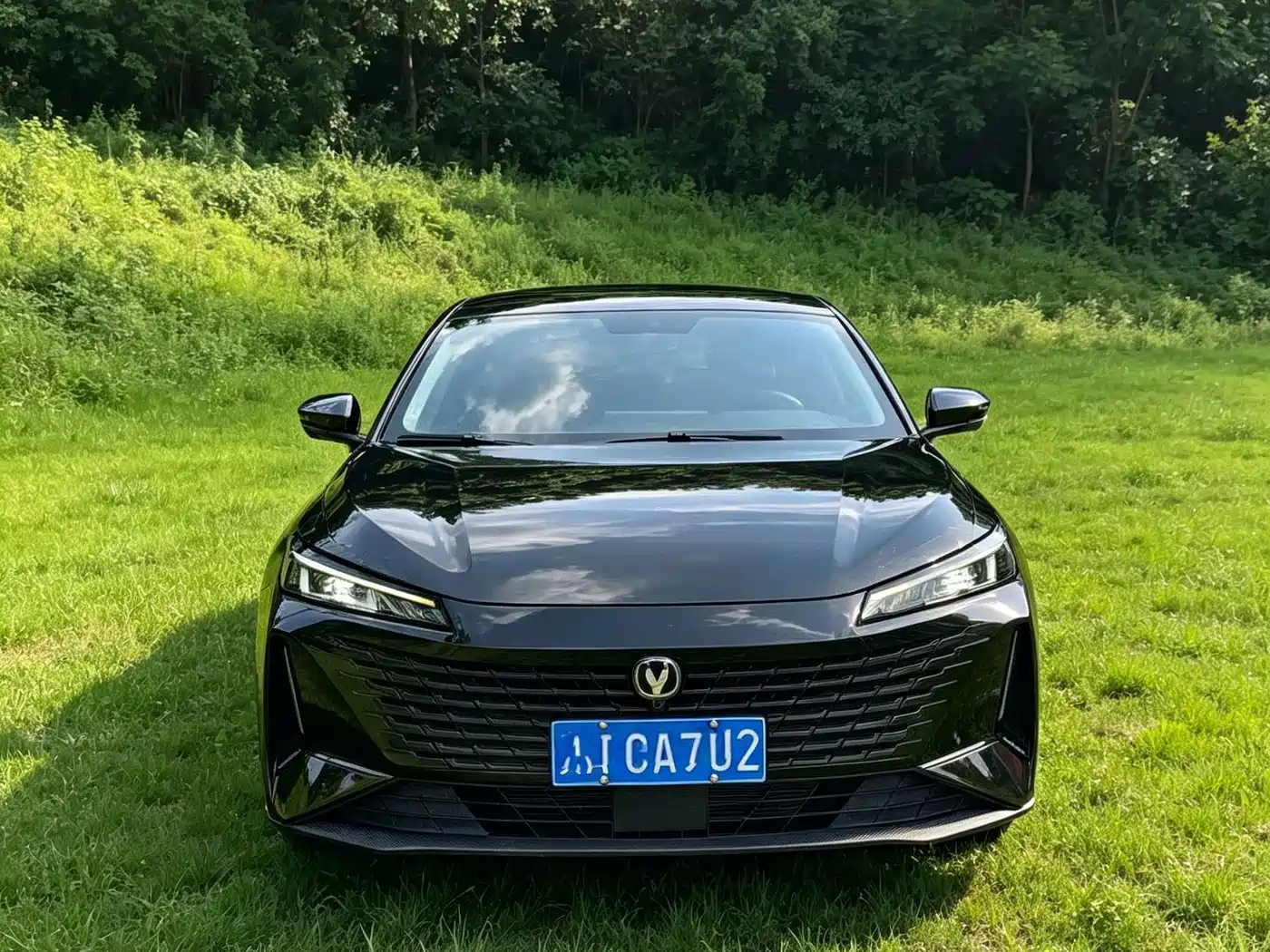 Changan Yida 2024 2023 Blue Whale NE 1.5T GDI DCT Exclusive