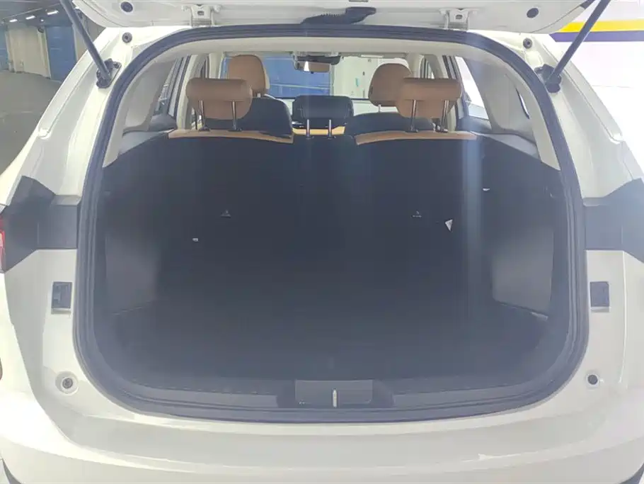 Haval H6 2021 3rd Generation 2.0T Auto 2WD Max фото 4