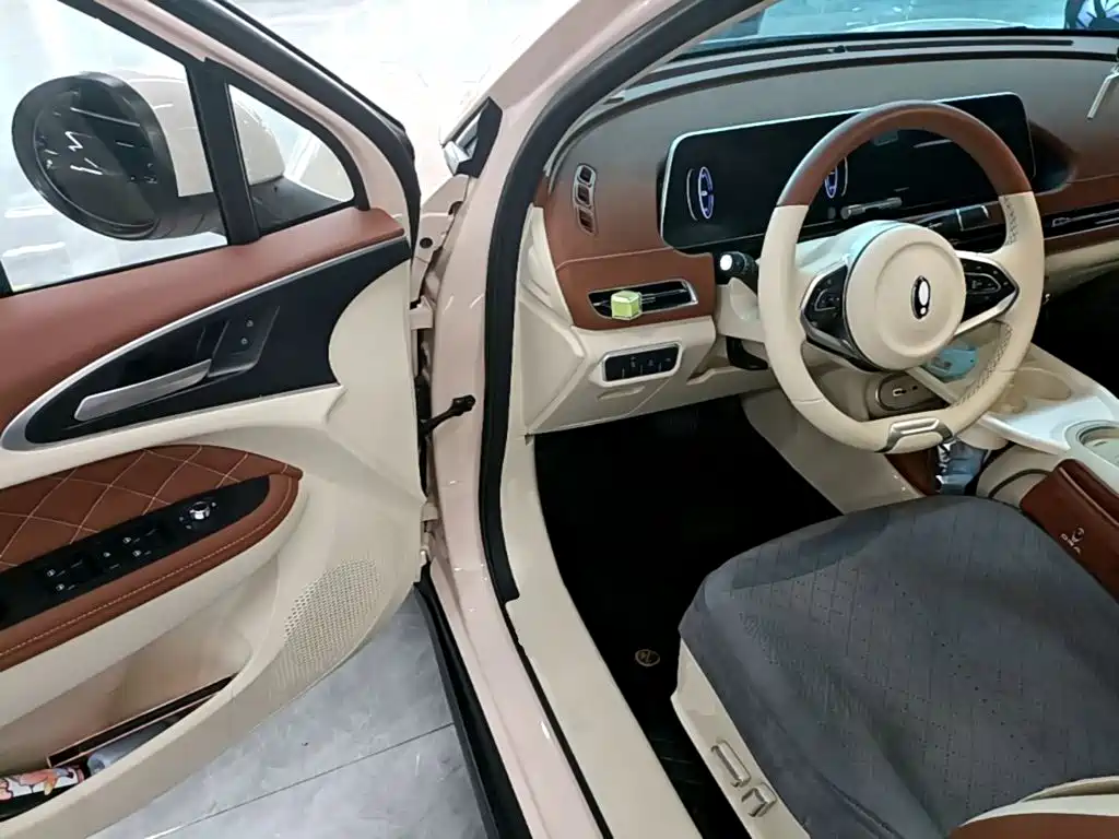 Ora Good Cat 2025 2024 401km Luxury