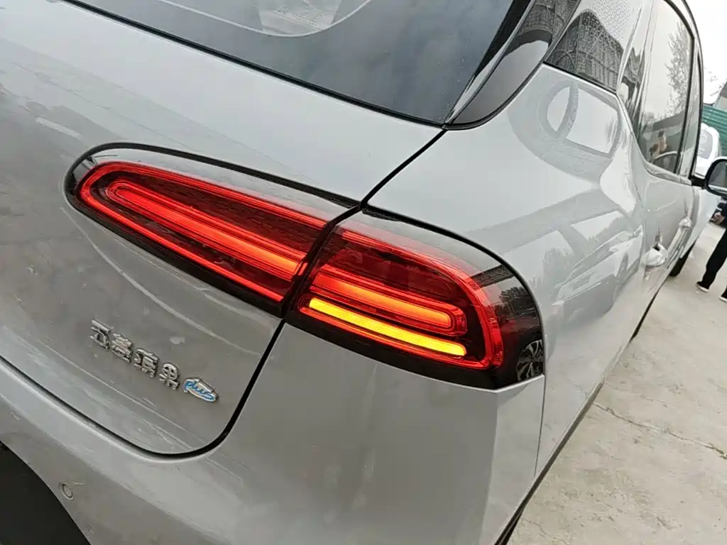Wuling Motors Wuling Binguo PLUS 2024 2024 Model 510km Flagship Edition 4-Seater