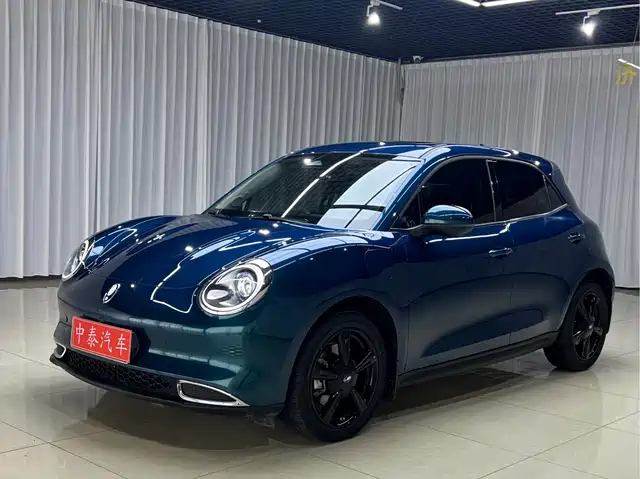 Ora Good Cat 2024 501km Luxury