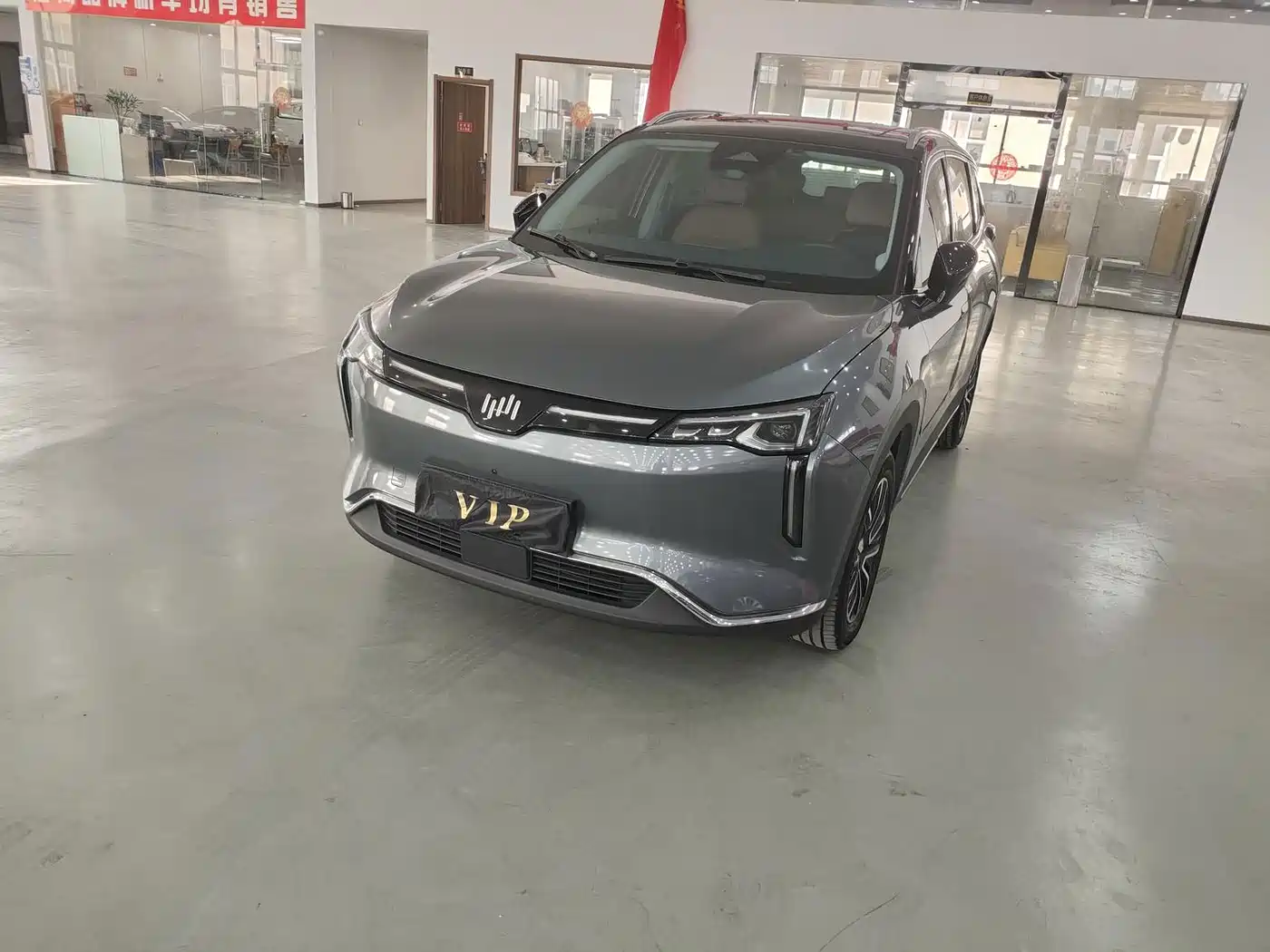 Weltmeister W6 2022 2021 520km ACE Ultimate Smart Edition
