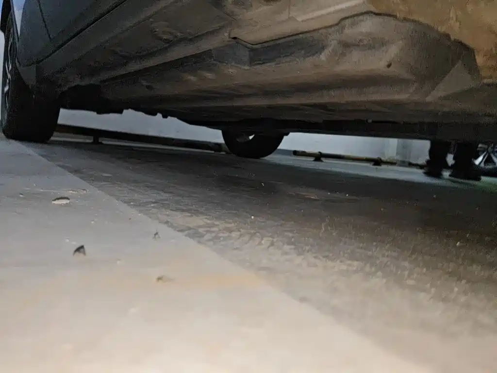 Toyota C-HR 2021 2020 Model 2.0L Leading