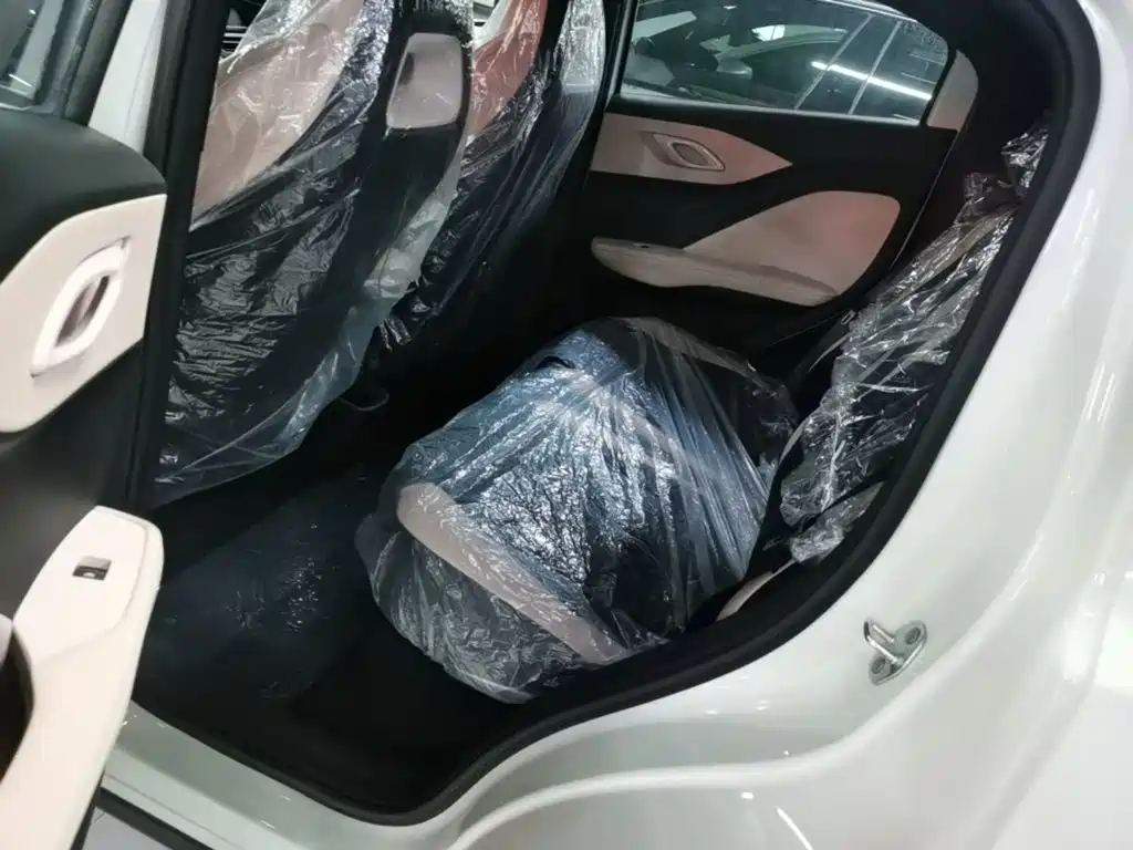 BYD Seagull 2026 2025 Smart Drive Edition 305km Vitality Version
