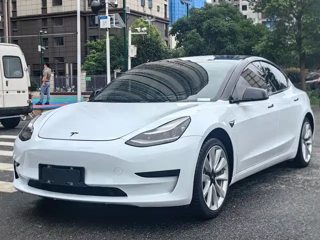 Tesla Model 3 2019 Standard Range Rear-Wheel Drive Upgrade