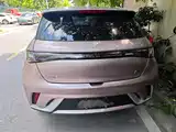 Фото 5 - BYD Dolphin